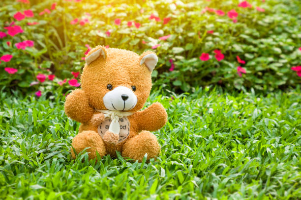 Teddy brown bear sitting on green grass