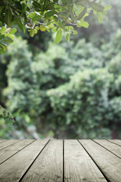 istock Wooden table and blurred green nature garden background. 1148033752