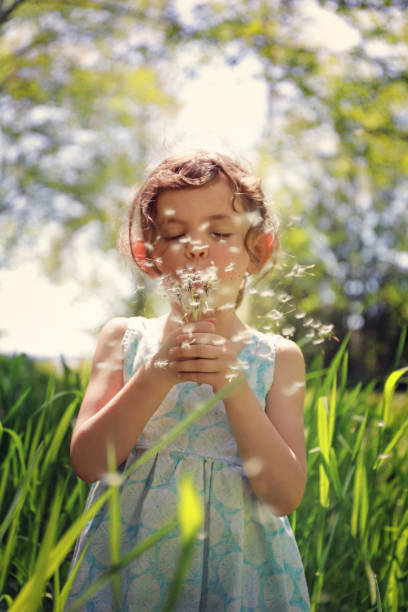 5 year old girl blowing on dandelions to make wishes