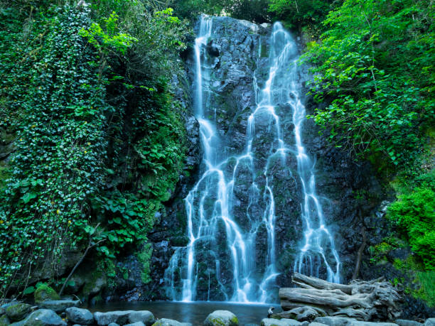 istock beautiful Waterfall amidst mesmerizing greenery is located Georgia 1148037379