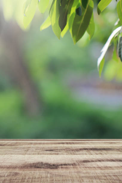 istock Wooden table and blurred green nature garden background. 1148037400