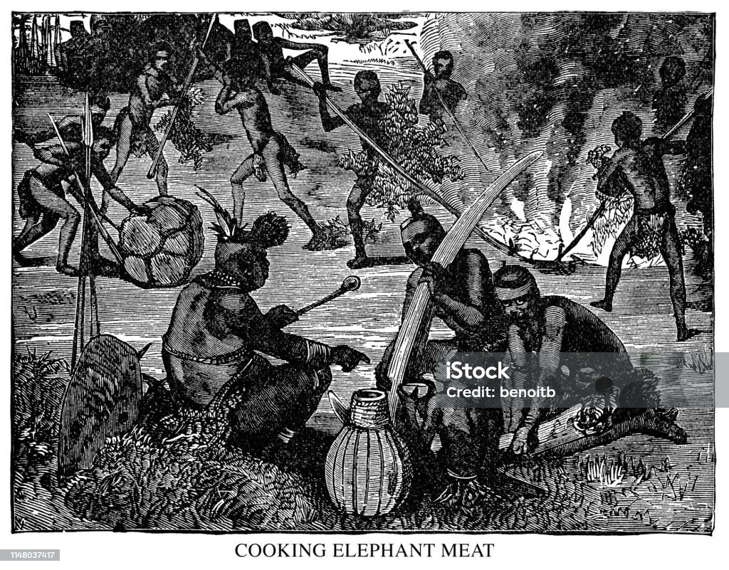 Cooking Elephant Meat Cooking Elephant Meat - Scanned 1890 Engraving African Ethnicity stock illustration