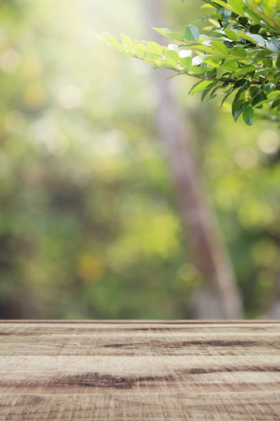 istock Wooden table and blurred green nature garden background. 1148040209