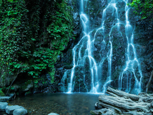 istock beautiful Waterfall amidst mesmerizing greenery is located Georgia 1148042190