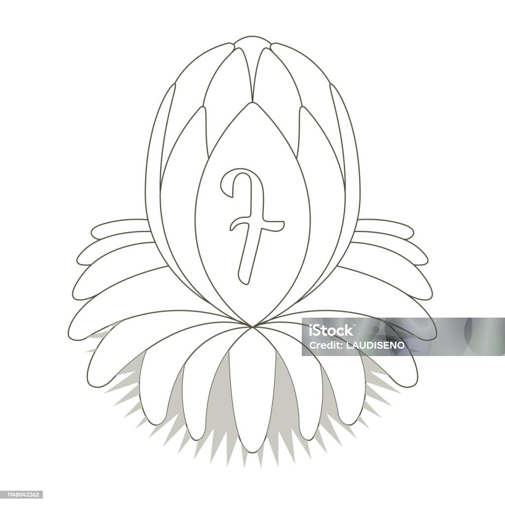 Sketch of a lotus flower with typography Sketch of a lotus flower with typography - Vector Banner - Sign stock vector