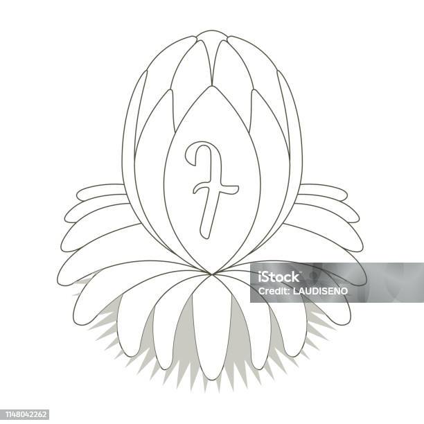 Sketch Of A Lotus Flower With Typography Stock Illustration - Download Image Now - Banner - Sign, Black Color, Clip Art