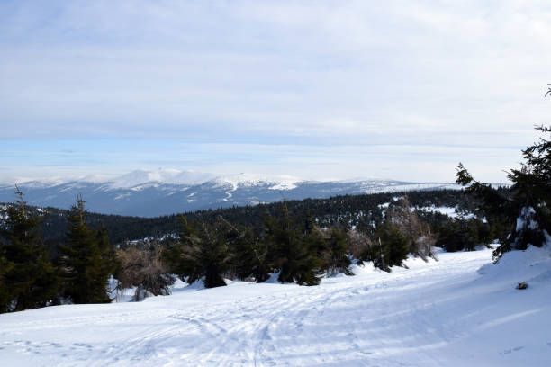 istock Winter mountain landscape in Jizera Mountains. Sudetes, Poland. 1148045312