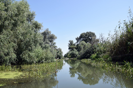 Landscape of Danube Delta. Danube distributary channel. Romania.