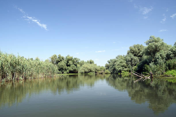 istock Landscape of Danube Delta. Danube distributary channel. Romania. 1148046257