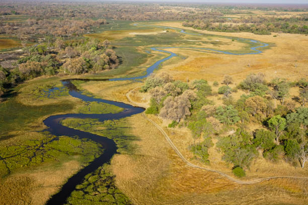istock Aerial view of Okavango Delta, Botswana, Africa 1148047537