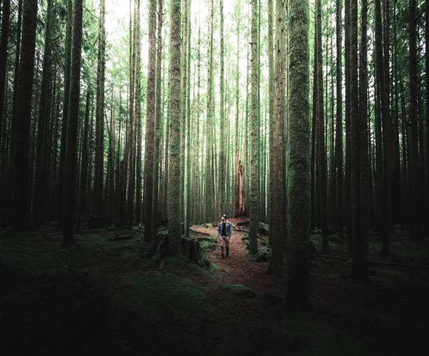 istock man hiking in british columbia 1148048870