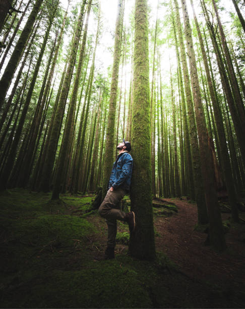 istock man hiking in british columbia 1148048954
