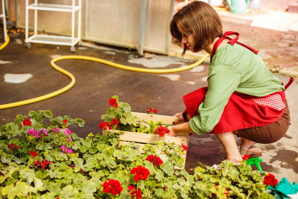 istock Florist planting flowers 1148050216