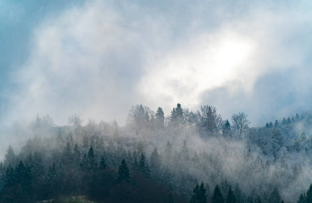 istock Fantastic view of cloudy winter landscape with snow covered trees. 1148056054