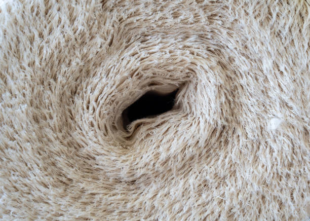 Raw towel fabric in textile factory
