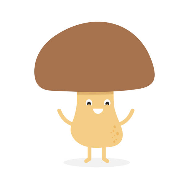 9,933 Funny Mushroom Stock Photos, Pictures & Royalty-Free Images - iStock