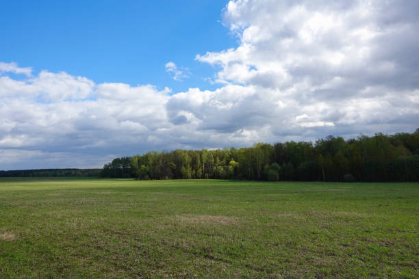 istock Landscape cloudy sky and green field. Russia. 1148058208