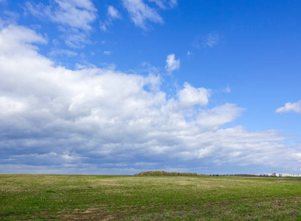istock Landscape cloudy sky and green field. Russia. 1148058211