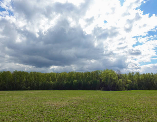 istock Landscape cloudy sky and green field. Russia. 1148058215