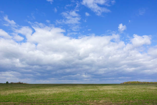 istock Landscape cloudy sky and green field. Russia. 1148058220