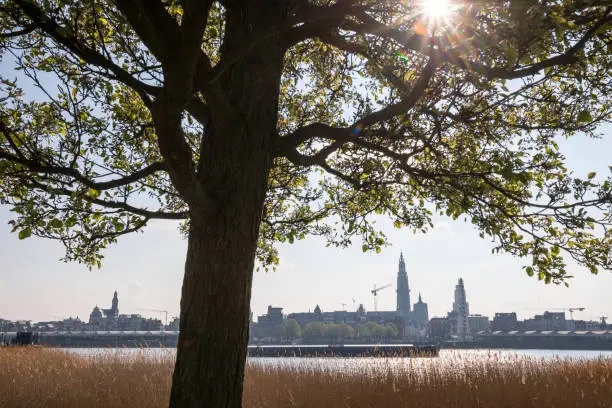 Photo of antwerpen belgium sunny cityscape