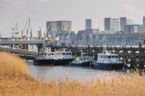 Photo of antwerpen belgium sunny cityscape