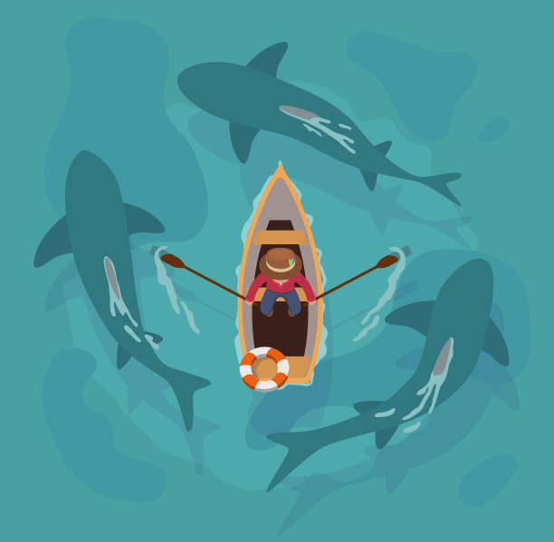 Shark Boat An aerial view of a man in a boat rowing in between 3 circling sharks. fish swimming from above stock illustrations
