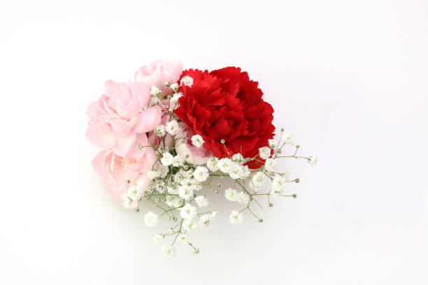 Pictured a bouquet of carnations and babys breath in a white background.