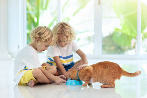 istock Child feeding home cat. Kids and pets. 1148065789