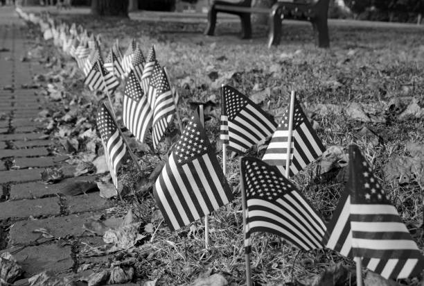 istock Row of American Flags 1148066008