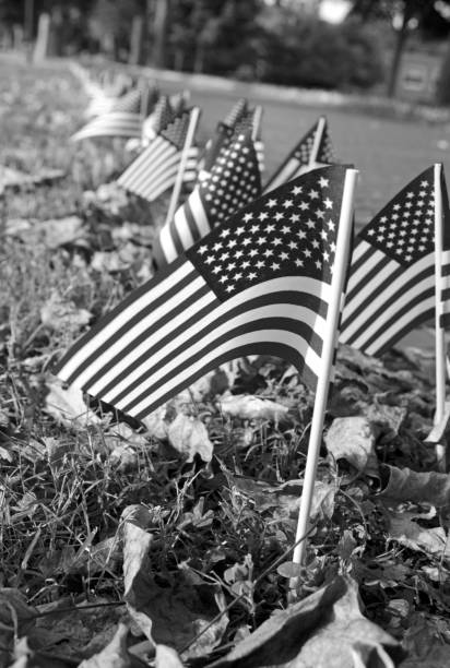 istock Row of American Flags 1148066012