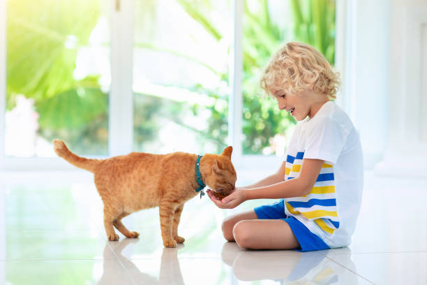 istock Child feeding home cat. Kids and pets. 1148067635