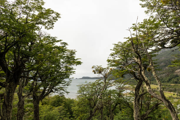 istock Bahia Lapataia, Ushuaia-Argentina 1148070287