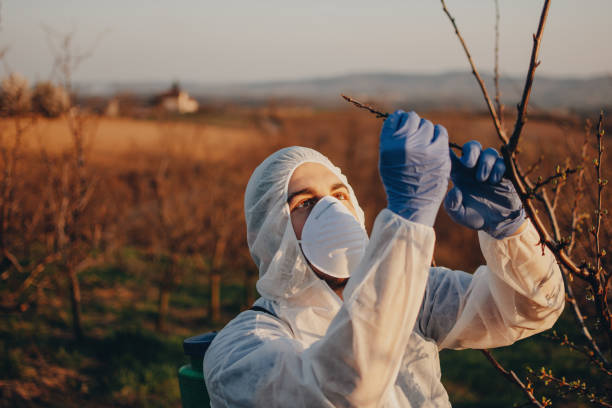 istock People workers in agriculture business 1148080931
