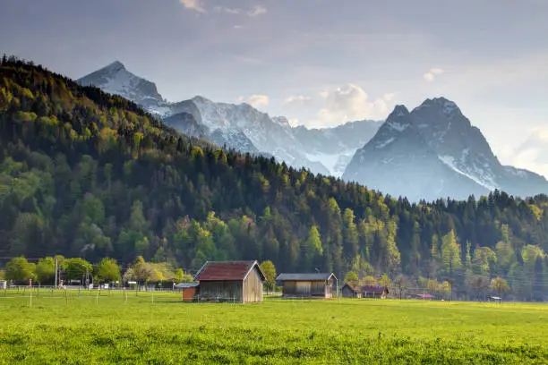 Small old timber hay barns and houses in sunny meadow in spring under blue sky in German countryside with pointed sharp Alpspitze Waxenstein Zugspitze peaks in snow, Wetterstein Northern Limestone Alps Garmisch Partenkirchen Bayern Germany Europe