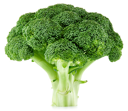 raw broccoli isolated on white background