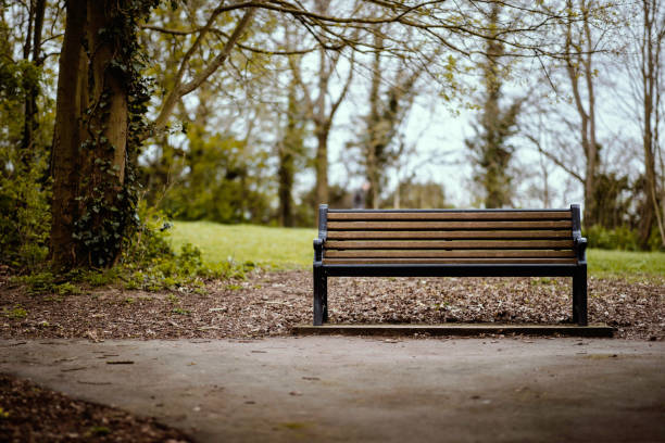 vista frontale di una panchina vuota in un parco inglese. - park bench foto e immagini stock