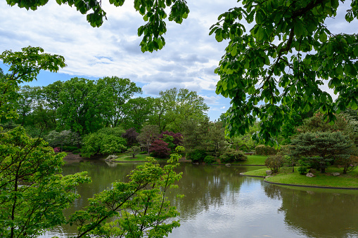 Landscape photograph of the Missouri Botanical Gardens Japanese Garden in St. Louis, MO