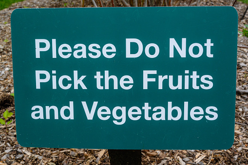 Please dont pick the fruit and veggies