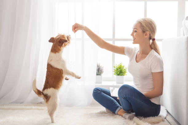 Young person with dog at home leisure