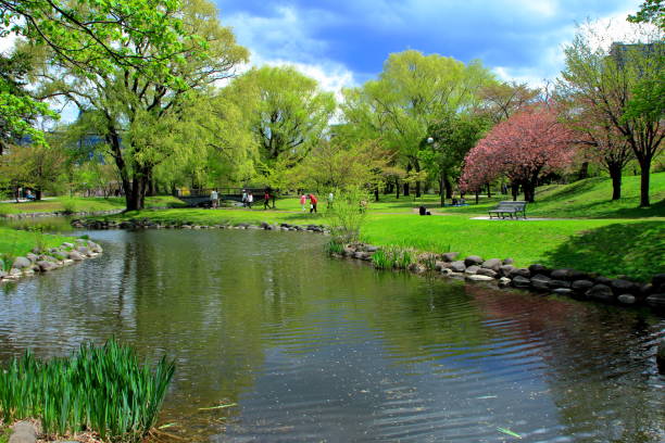 Landscape of Sapporo Nakajima Park in spring stock photo