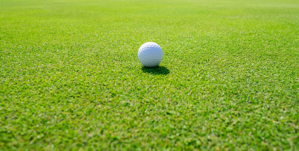 istock Golf Course where the turf is beautiful and Golf Ball on fairway. Golf course with a rich green turf beautiful scenery. 1148096561