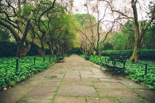 istock New York City's Central park during the day 1148102134
