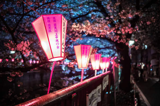 la saison des fleurs de cerisier à tokyo à la rivière meguro - rivière meguro photos et images de collection