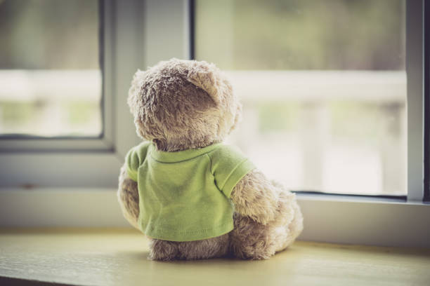 A brown teddy bear on a white background