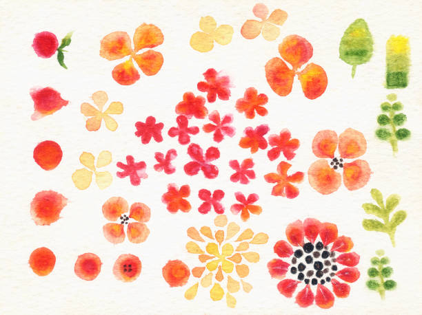 istock lilttle flowers sketch by water colour on white background 1148109881
