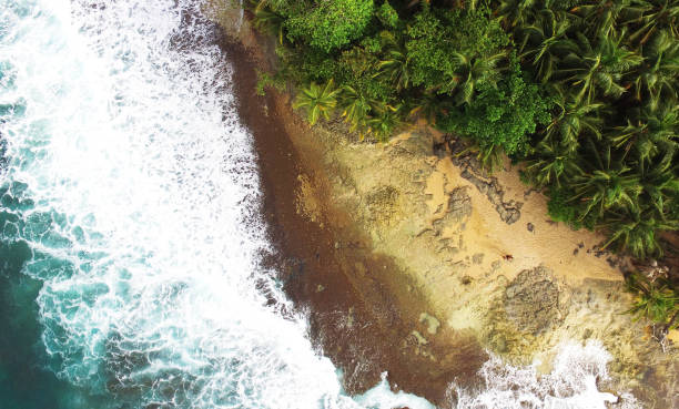 istock drone aerial waves and jungle costa rica 1148115192