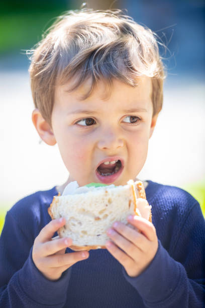 istock Three years old child boy having a turkey sandwich 1148117603