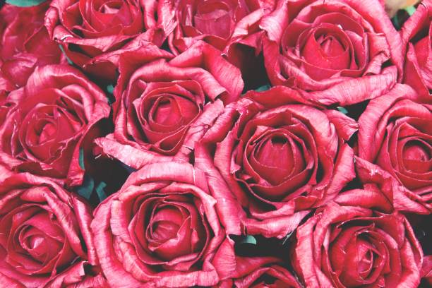 istock beautiful Background of artificial flowers Close up 1148119908