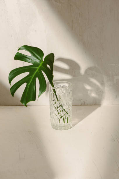 istock Leaf in a glass of water on a white table 1148120403